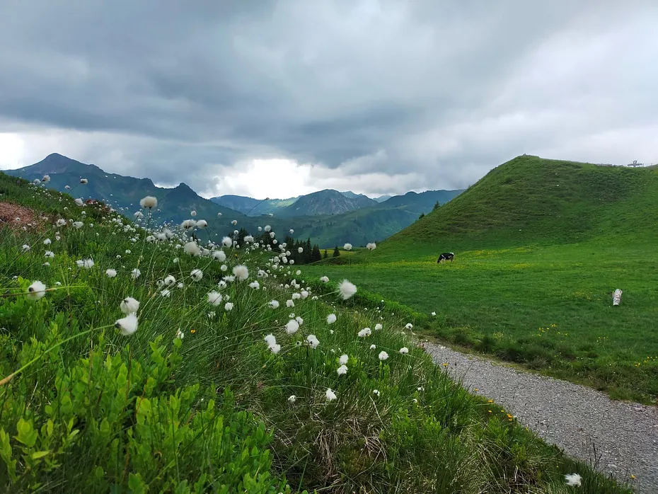 Damüls wandern Uga