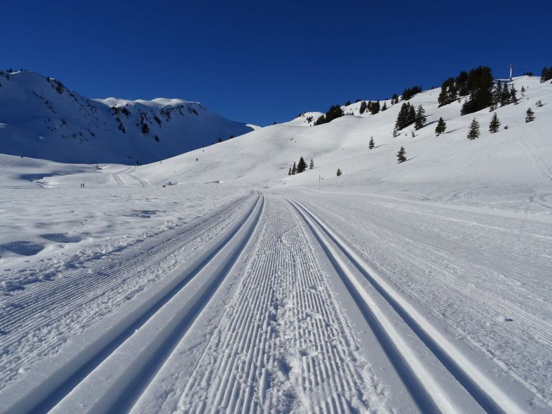 Langlaufen in Damüls Mellau Faschina