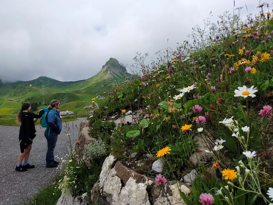 Damüls wandern Uga Bergstation