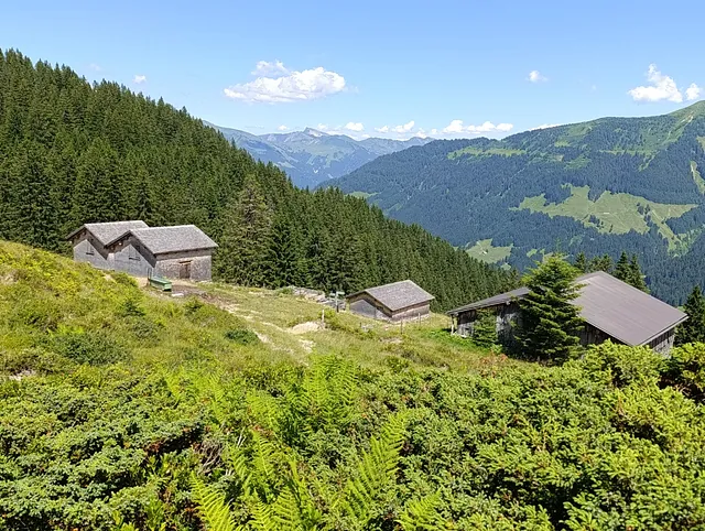 Alpe Brand Damüls
