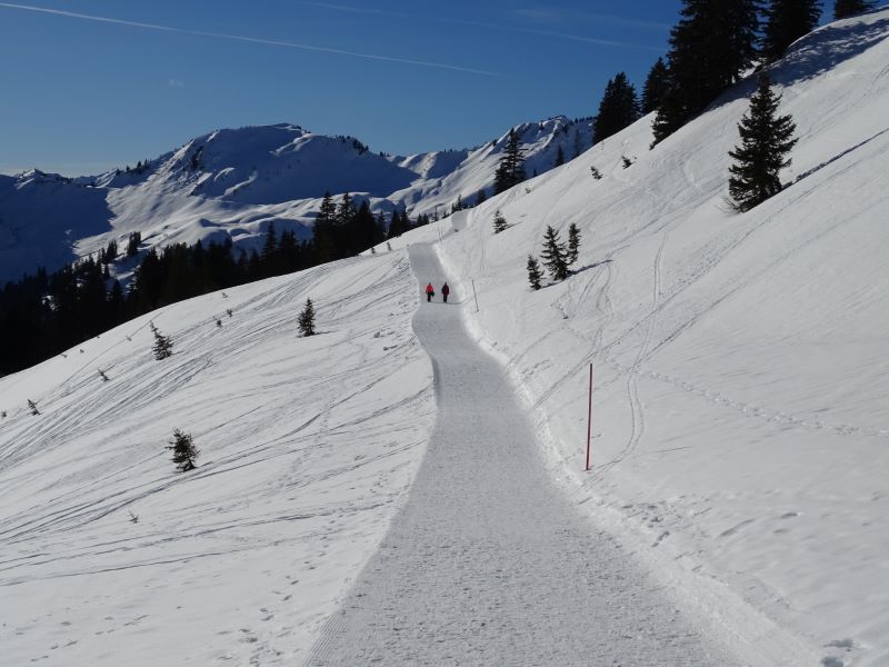 Winterwanderwege in Damüls Mellau Faschina