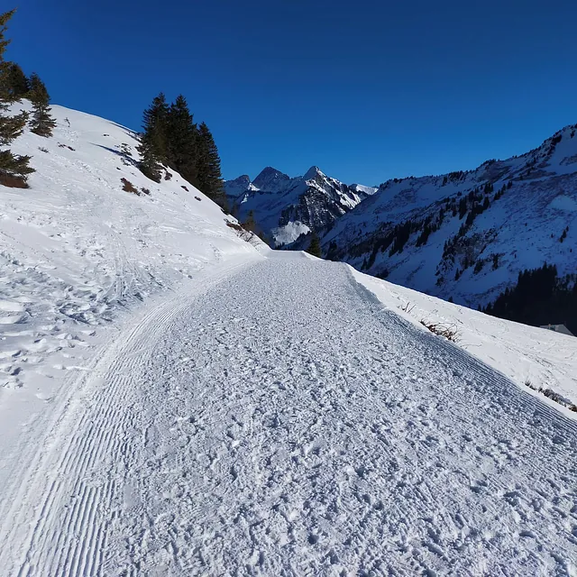 Winter Damüls