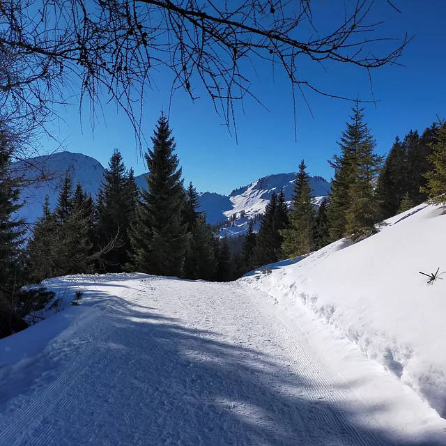 Winter Damüls