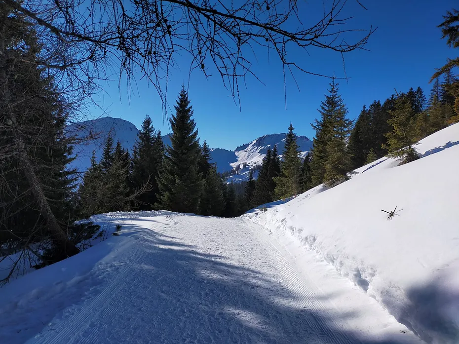 Winter Damüls