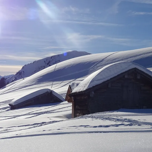 Alpe Oberdamüls
